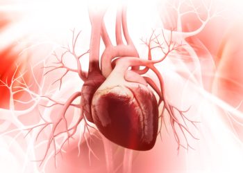 Das Herz pumpt kontinuierlich Blut durch den Körper und versorgt dadurch Organe und Gewebe mit lebensnotwendigem Sauerstoff und Nährstoffen. (Bild: abhijith3747/fotolia.com)