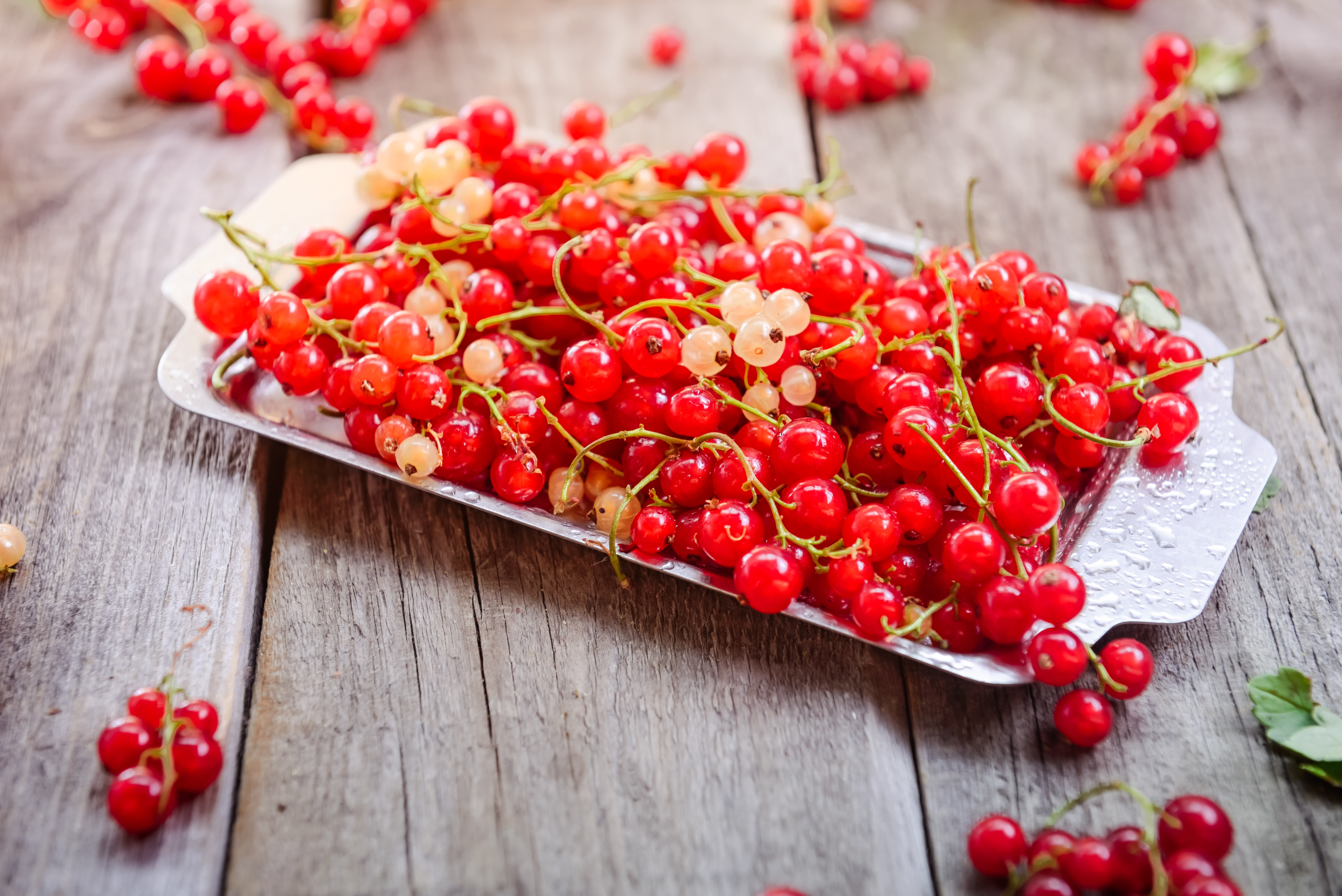 Vitamin C ist zur Gewichtsreduktion