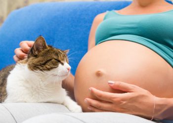 Der Kontakt zu Haustieren ist für Schwangere grundsätzlich kein Problem, doch sollten im Sinner der Allergieprävention einige Regeln beachtet werden. (Bild: eight8/fotolia.com)