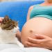 Der Kontakt zu Haustieren ist für Schwangere grundsätzlich kein Problem, doch sollten im Sinner der Allergieprävention einige Regeln beachtet werden. (Bild: eight8/fotolia.com)