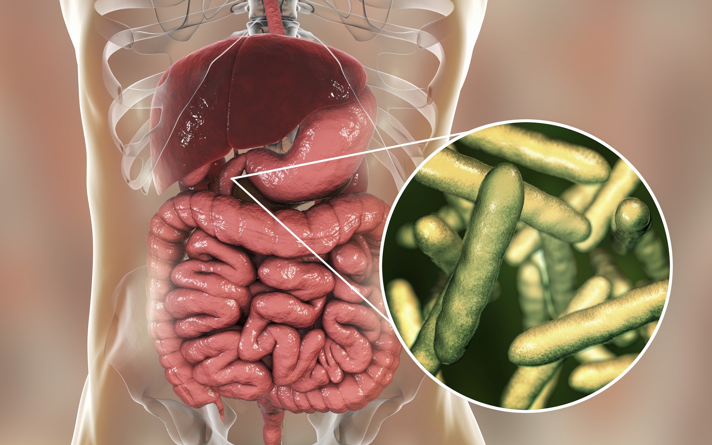 Diät oberflächliche chronische Gastritis Diät oberflächliche chronische Gastritis