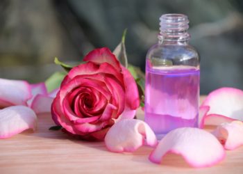 Die Rose ist nicht nur eine wunderschöne Pflanze, auch ihr Öl wird seit Jahrtausenden eingesetzt, zum Beispiel gegen Krämpfe oder äußerlich zur Hautpflege. (Bild: Christine/stock.adobe.com)