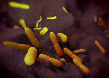 Die durch das Bakterium Yersinia pestis verursachte Pest war Ursache einiger der tödlichsten Pandemien in der Menschheitsgeschichte. Forscher haben nun Hinweise darauf gefunden, dass der Erreger deutlich älter ist, als bislang angenommen. (Bild: royaltystockphoto/fotolia.com)