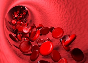 Rutin - eine der Flavonoid-Verbindungen in Stevia - besitzt blutstillende, durchblutungsfördernde und gefäßstärkende Eigenschaften, welche den Pflanzenstoff zu einem bedeutsamen Arzneiwirkstoff gegen Herz- und Gefäßkrankheiten sowie Gefäßblutungen machen. (Bild: Thomas Söllner/fotolia.com)