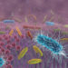 Oft sind Viren oder Keime verantwortlich für Beschwerden im Darm oder Magen. (Bild: Alex/stock.adobe.com)