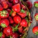 Frische Erdbeeren aus regionalem Freilandanbau gibt es zwischen Mai und Juli. (Bild: alicja neumiler/fotolia.com)