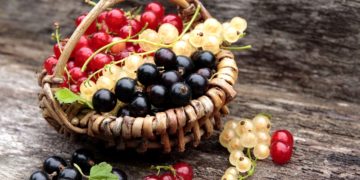 Johannisbeeren im Korb