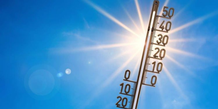 Ein Thermometer vor sommerlichem Hintergrund