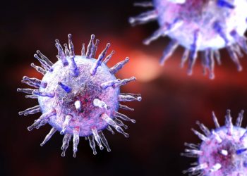Eppstein-Barr-Virus in Großaufnahme
