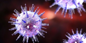 Der Estein-Barr-Virus gehört zu den Herpes Viren und verbleibt nach der Infektion ein Leben lang im Körper. (Bild: Kateryna Kon/fotolia.com)