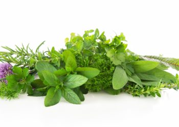 Kräuter einfrieren ist praktisch, um bei Bedarf nicht erst in den Supermarkt laufen zu müssen. Es eignen sich aber nicht alle Kräuter gleich gut zum Einfrieren. (Bild: Alexander Raths/fotolia.com)