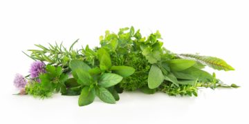 Kräuter einfrieren ist praktisch, um bei Bedarf nicht erst in den Supermarkt laufen zu müssen. Es eignen sich aber nicht alle Kräuter gleich gut zum Einfrieren. (Bild: Alexander Raths/fotolia.com)