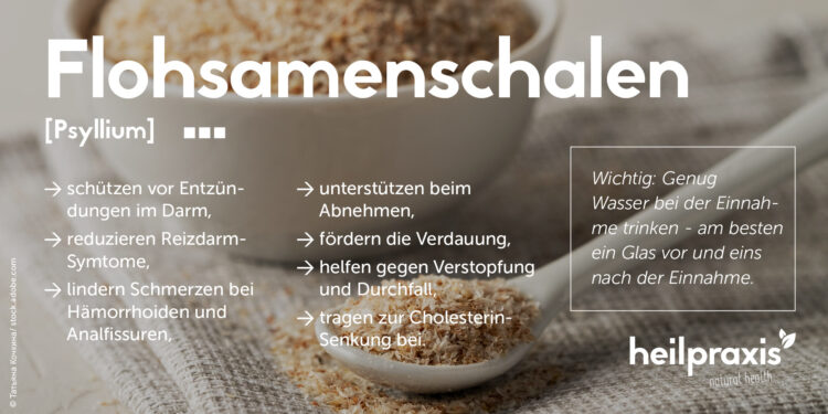 Anwendungsgebiete von Flohsamenschalen