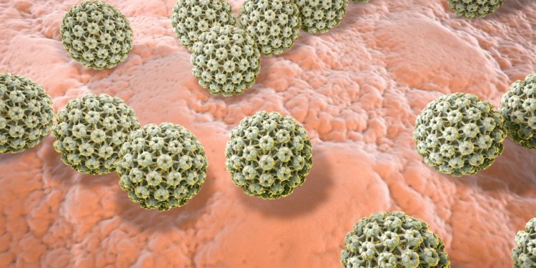 hpv genitalwarzen behandlung