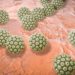 Der humane Papillomavirus ist der Verursacher für die Feigwarzen (Bild: Kateryna Kon/fotolia.com)