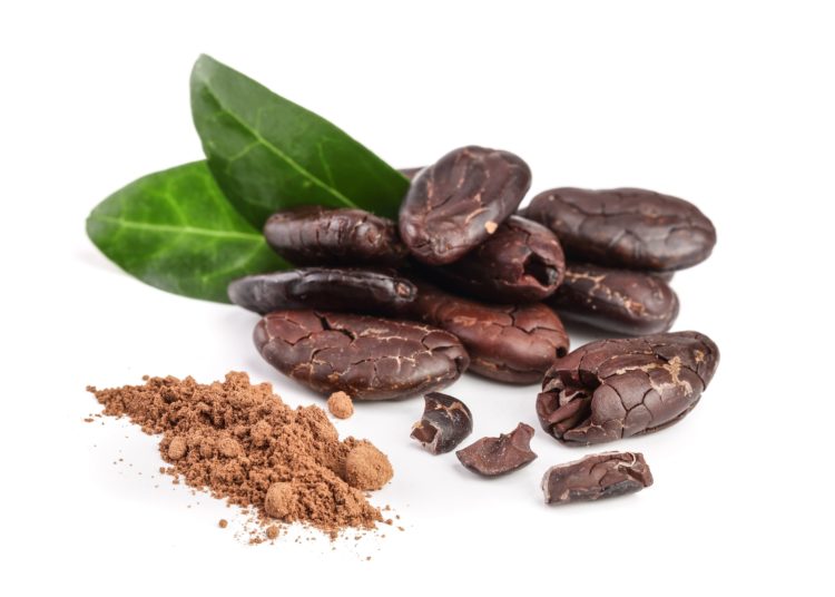 Kakao war in früheren Zeiten ein kostbares Gut, so wertvoll, dass die Azteken ihn wie Geld verwendeten. Außerdem enthält er aber auch viele Heilstoffe. (Bild: kolesnikovserg/fotolia.com)