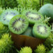 Voller gesundheitlicher Vorteile: Die Kiwibeere. Bild: TwilightArtPictures-fotolia