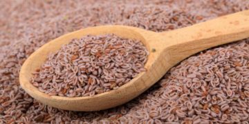 Flohsamen sind ein natürliches Mittel gegen Verstopfung und Darmbeschwerden. Da sie entwässern, ist auf eine ausreichende Flüssigkeitszufuhr zu achten. (Bild: UbjsP/fotolia.com)