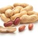 Die Erdnuss ist botanisch gesehen keine Nuss, sondern eine Hülsenfrucht. (Bild: GSDesign /fotolia.com)