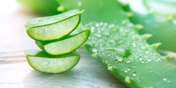 Viele Heilpflanzen finden Sie in kosmetischen Produkten wieder, wie häufig Aloe Vera, welche die Haut kühlt und die Hautbarriere stärkt. (Bild: Subbotina Anna/fotolia.com)
