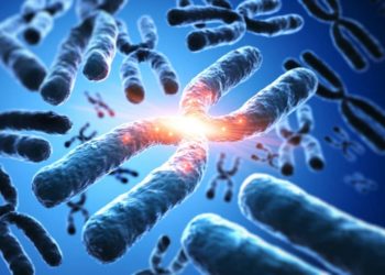 Die Glasknochenkrankheit ist eine seltene Erbkrankheit, bei der verschiedene Genmutationen sehr unterschiedliche Ausprägungen hervorrufen. (Bild: peterschreiber.media/fotolia.com)