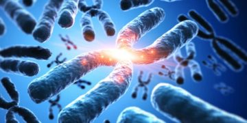 Die Glasknochenkrankheit ist eine seltene Erbkrankheit, bei der verschiedene Genmutationen sehr unterschiedliche Ausprägungen hervorrufen. (Bild: peterschreiber.media/fotolia.com)