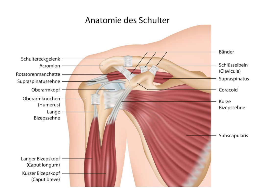 Schmerzen in der Achselhöhle Ursachen, Symptome und Therapie Heilpraxis
