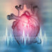 Das Loch im Herzen gehört zu den Krankheitsbildern, bei denen ein operativer Eingriff nicht unbedingt stattfinden muss. (Bild: Siarhei/fotolia.com)