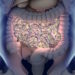 Nimmt der Anteil von gutartigen Bakterien in der Darmflora stark ab, so bekommen wir Verdauungsprobleme wie Durchfall, Verstopfungen oder Bauchweh. (BIld: Anatomy Insider/stock.adobe.com)