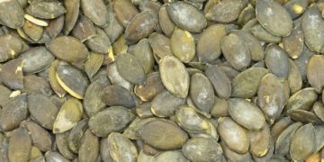 Oft landen sie in der Biotonne – dabei sind Kürbiskerne voller Vitamine und Mineralstoffe. (Bild: M. Schuppich/fotolia.com)