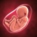 In der Vergangenheit konnte festgestellt werden, dass eine Gestose ihren Ursprung in der Plazenta von schwangeren Frauen hat. Ein bislang unbekanntes Störsignal erschwert die Anpassung des mütterlichen Herz-Kreislauf- und Stoffwechselsystems zu Beginn der Schwangerschaft. (Bild: nerthuz/fotolia.com)