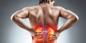 Nierenprobleme können mit Nierenerkrankungen verbunden sein, können aber auch auf andere Krankheiten im Körper hindeuten. (Bild: Romario Ien/fotolia.com)