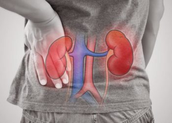 Schwarzweiss Bildausschnitt von hinten, wo die Nieren farblich eingezeichnet sind und die Person sich dort hinfasst