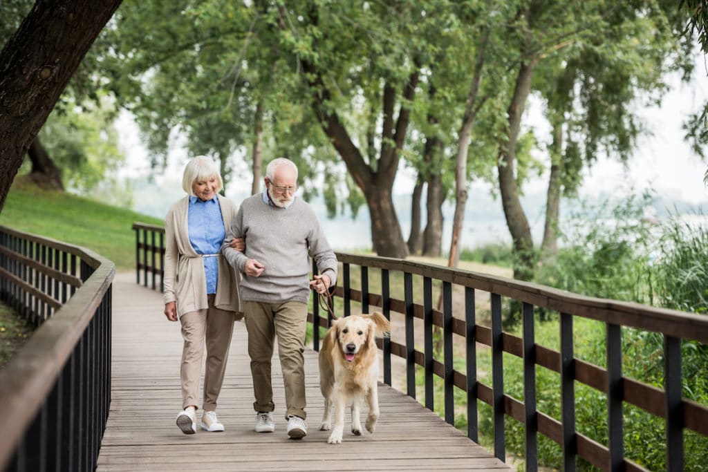 Ein älteres Paar geht mit dem Hund spazieren