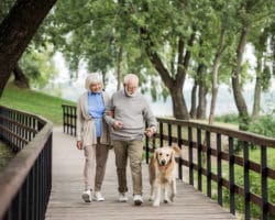 Ein älteres Paar geht mit dem Hund spazieren