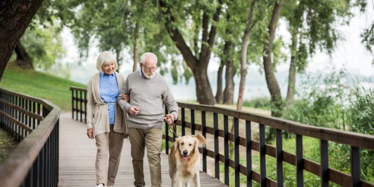 Ein älteres Paar geht mit dem Hund spazieren