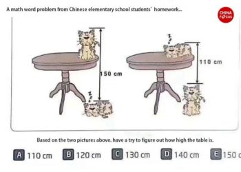 Skizze eines chinesischen Mathematikrätsels mit Katzen