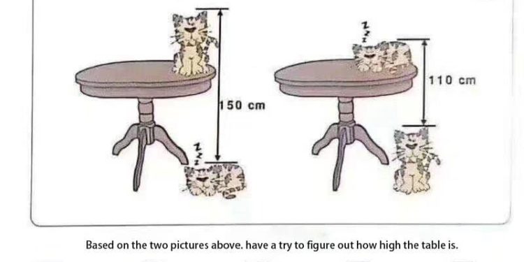 Skizze eines chinesischen Mathematikrätsels mit Katzen