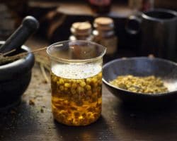 Eine Glas Indianertee neben einer Schale mit Kräutern