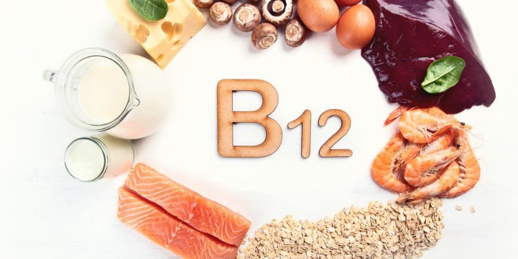 Unterschiedliche Vitamin B12 enthaltende Lebensmittel im Kreis angeordnet