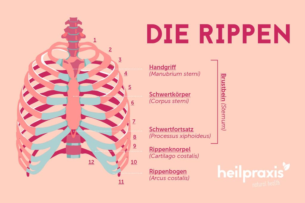 Schwangerschaft brust unter schmerz rechter Seit heut