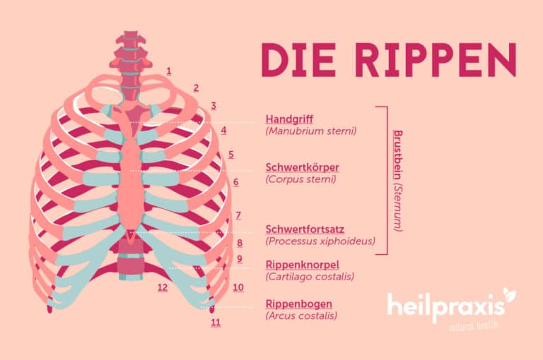 Rippenschmerzen rechts oder links Heilpraxis