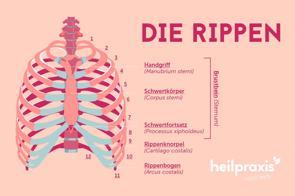 Rippenentzündung Rippenentzündung
