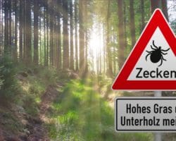 Warnschild vor Zecken vor Waldidyll