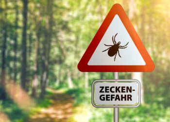 Warnschild mit der Aufschrift Zeckengefahr an einem Waldweg