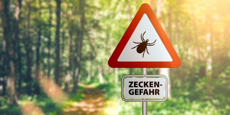 Warnschild mit der Aufschrift Zeckengefahr an einem Waldweg