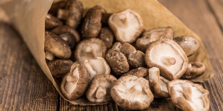 Eine Papiertüte mit Shiitake-Pilzen auf einem Tisch