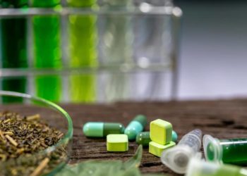 Verschiedene Kräuter und Pillen liegen auf einem Tisch