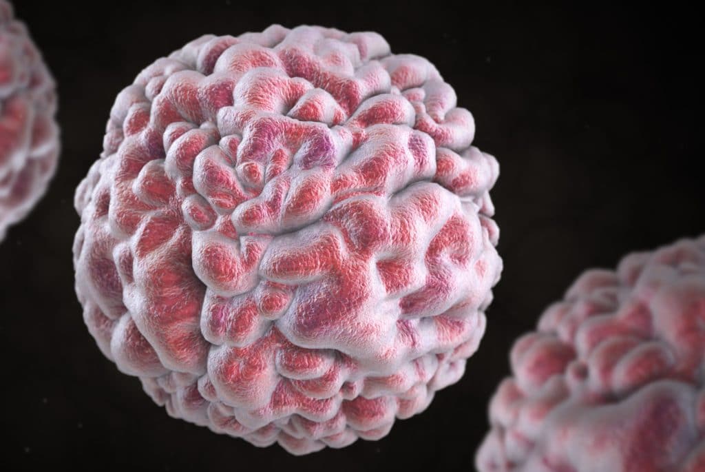 3D Illustration Norovirus