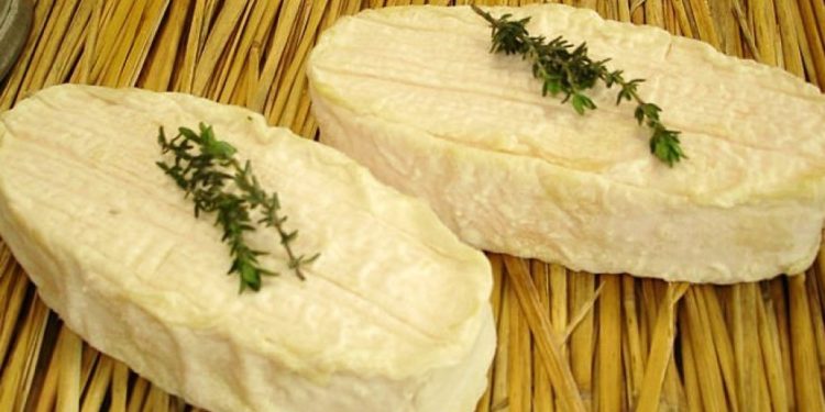 Weichkäse aus Frankreich ist mit Salmonellen belastet